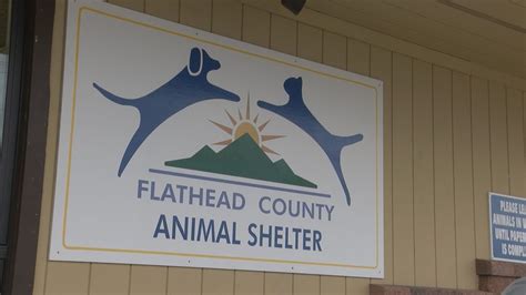 Flathead animal shelter - 
